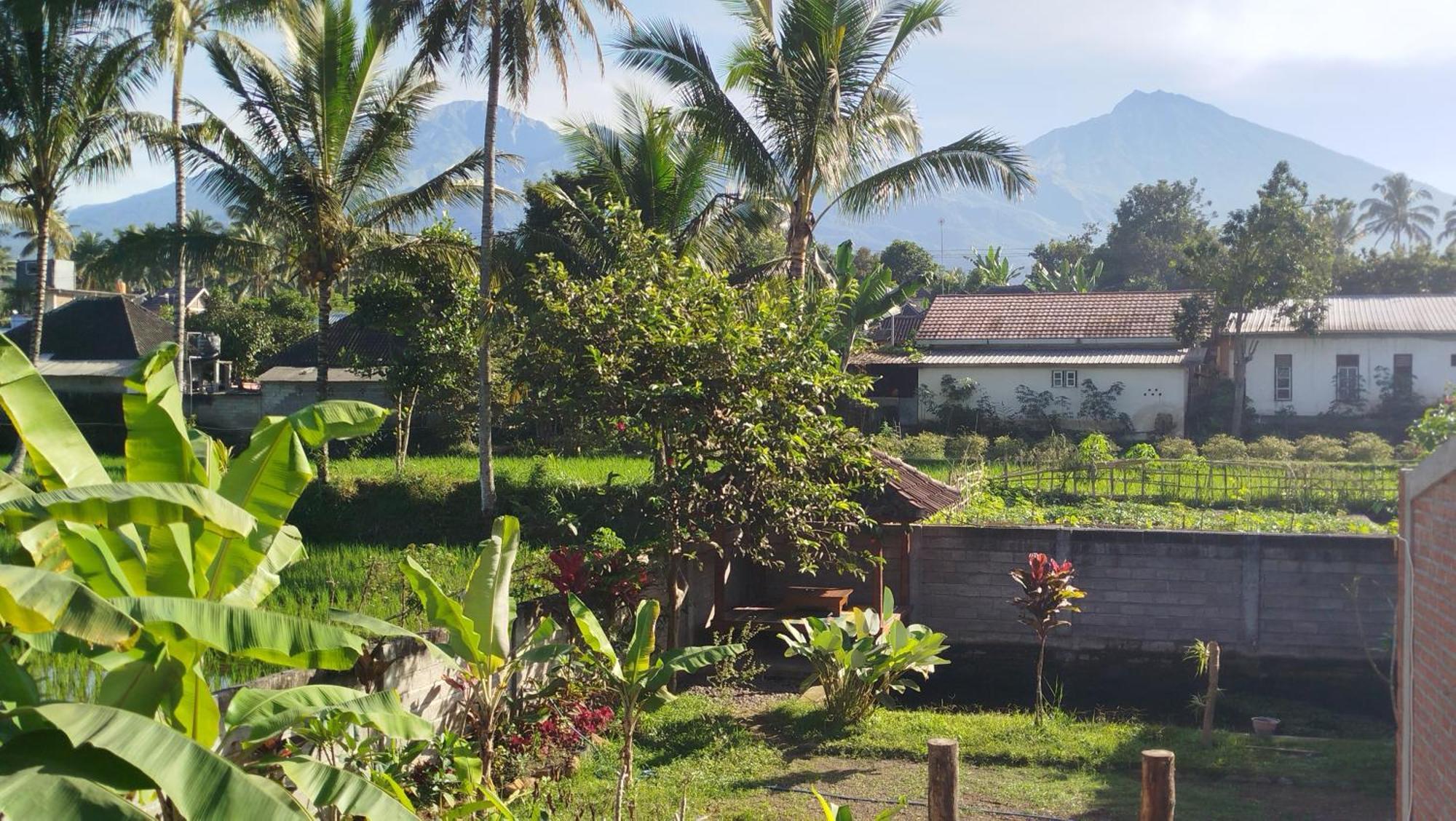 Arista Homestay テテバトゥ エクステリア 写真