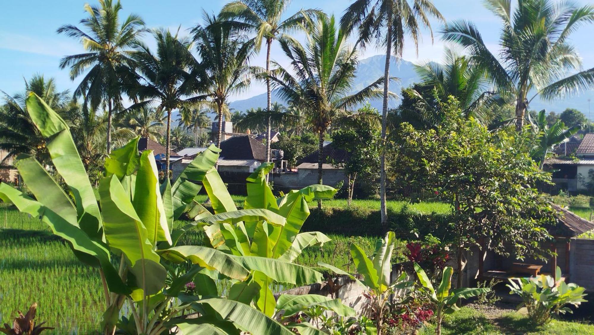 Arista Homestay テテバトゥ エクステリア 写真